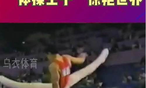 1984奥运会李宁并列冠军-1984年奥运会李宁